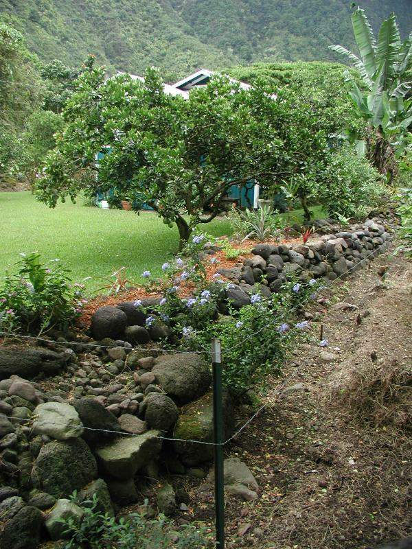 070302.WaipioValley46r