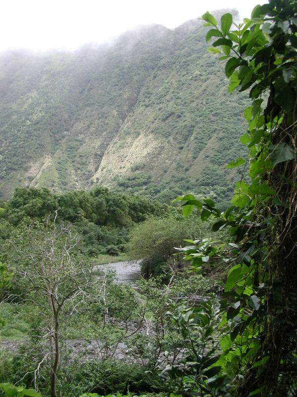 070302.WaipioValley54r