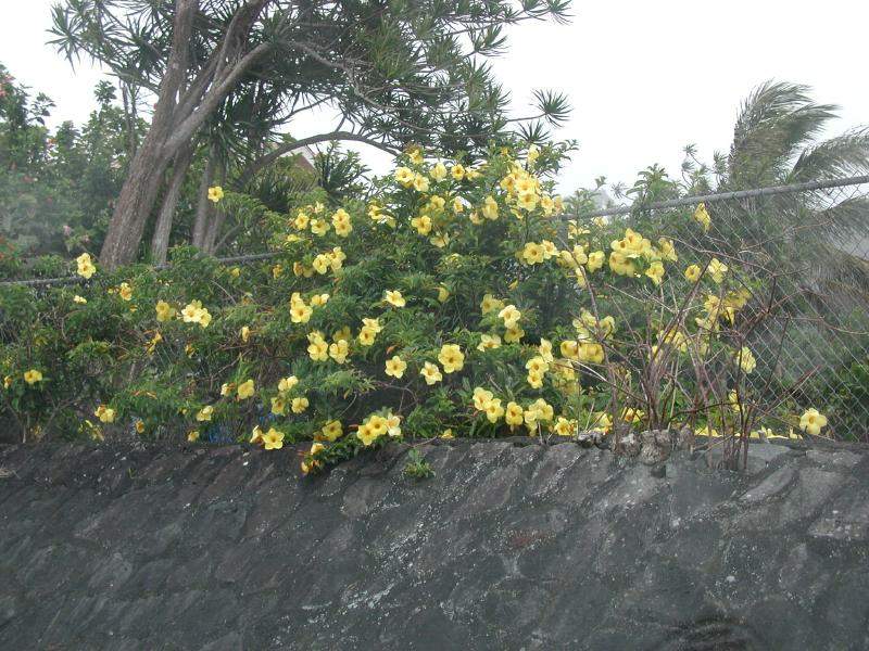 070302.WaipioValley91