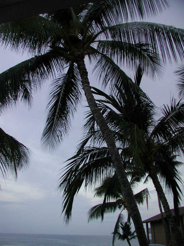 070402.KonaCoast255r