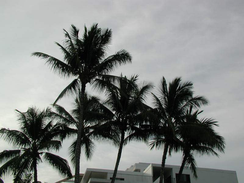 070402.KonaSilhouettes300