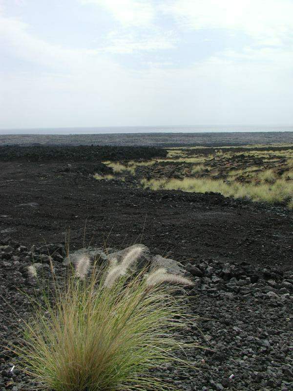P7031228