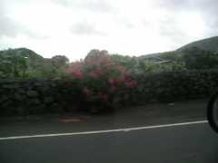 070202.Driving65