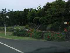 070202.Drivinga918