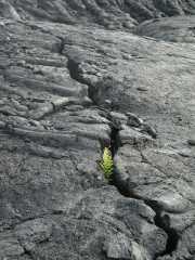 070202.Volcano0980r