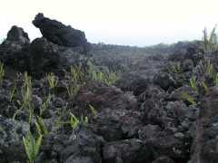 070202.Volcano1085