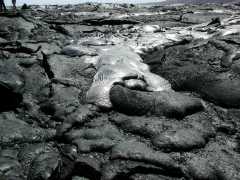 070202VolcanoLava0954