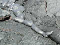 070202VolcanoLava0965