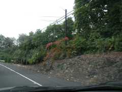 070302.Driving105
