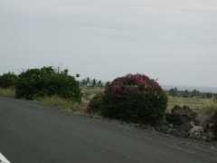 070302.Driving235