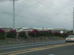 070302.Driving239