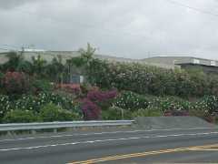 070302.Driving241
