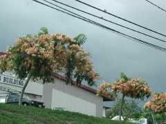 070302.Driving253