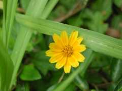 070302.WaipioValley33
