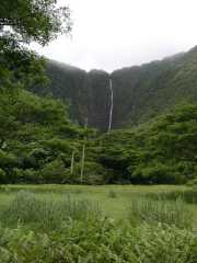 070302.WaipioValley50r