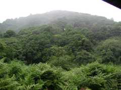 070302.WaipioValley70