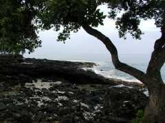 070402.KonaCoast261