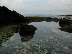 070402.KonaCoast265