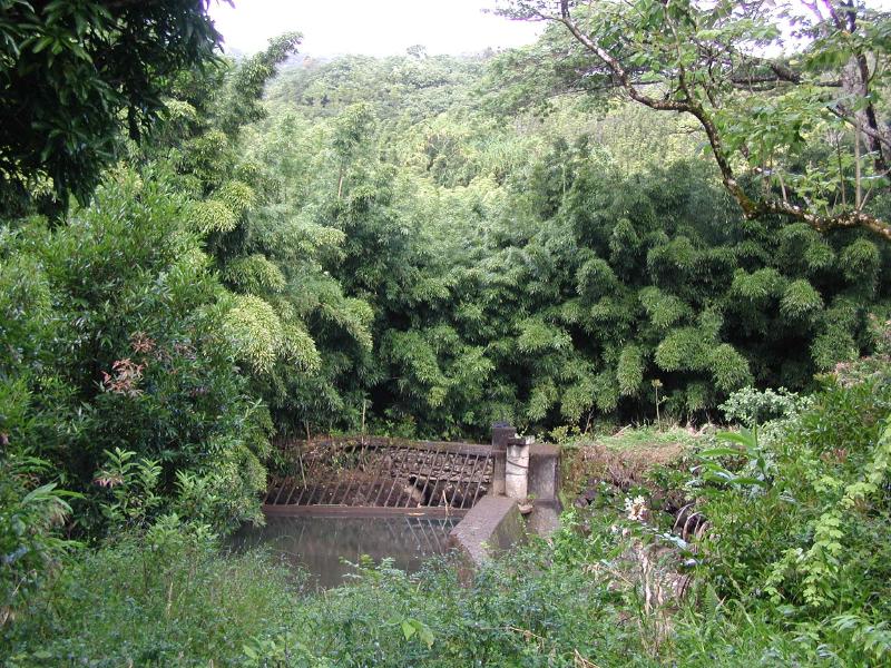063002.RoadToHana598