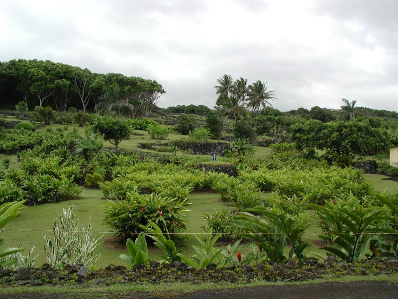 063002.RoadToHana671