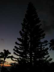 062902.Sunset79r