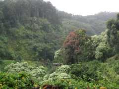 063002.RoadToHana614