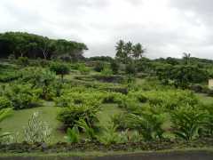 063002.RoadToHana671
