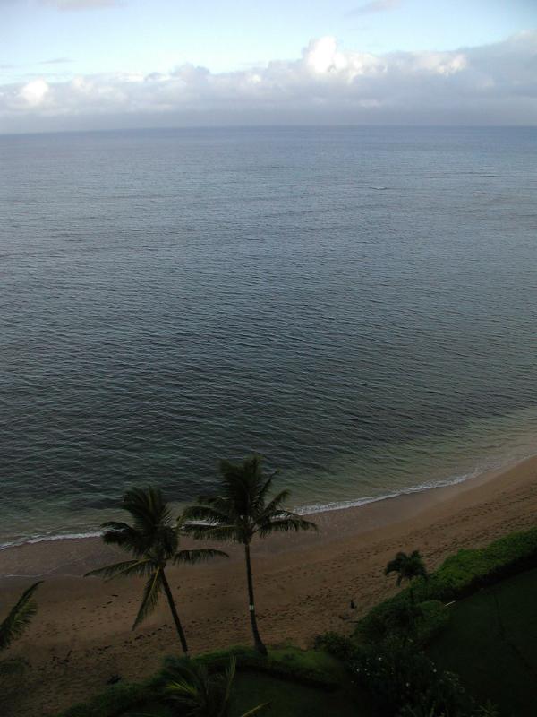 070102.RoomView96r