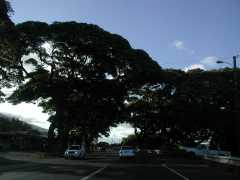 070102.Driving700