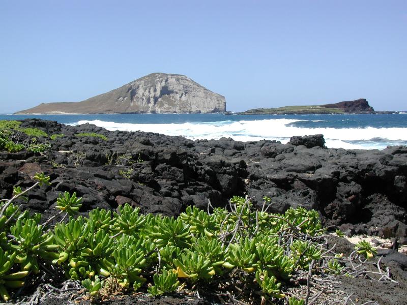 062500.Oahu.Coast.09