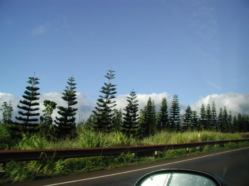 062702.Drivinga83