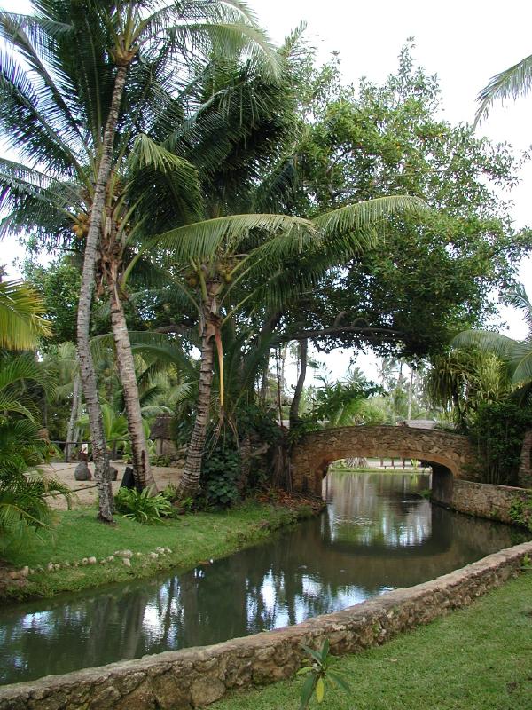 062702.PolynesianCC63r