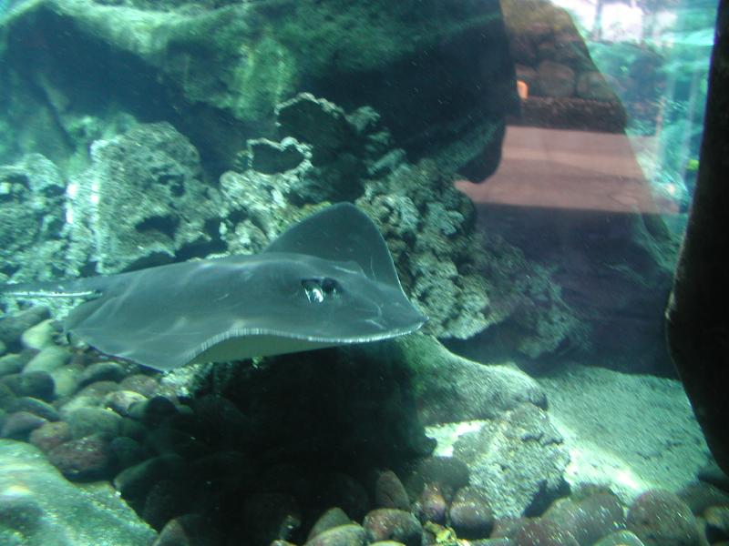062702.SeaLifePark44