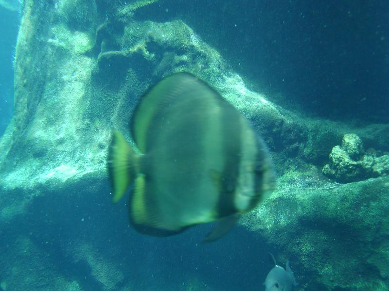 062702.SeaLifePark45