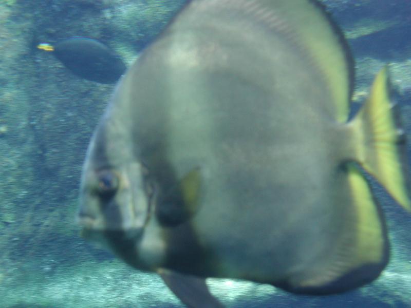 062702.SeaLifePark63