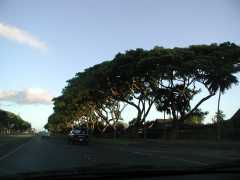 062702.Driving89