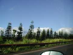062702.Drivinga83