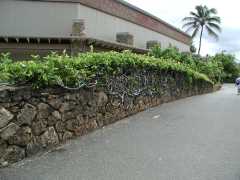 062702.PolynesianCC89