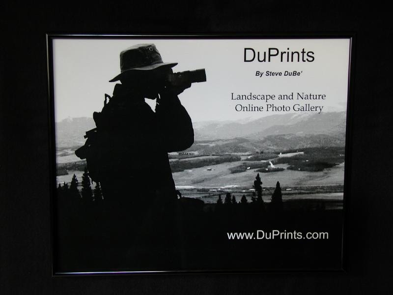 DuPrints