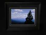 PikesPeakinBlue