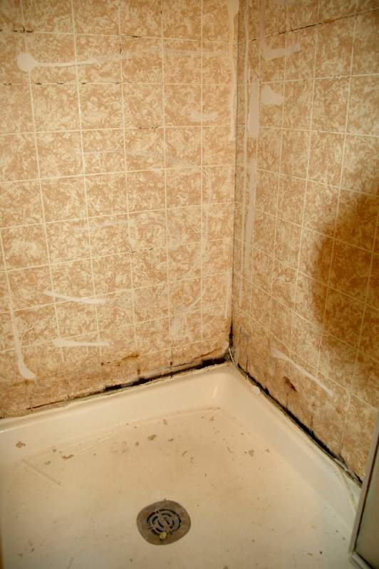 20080330SteamShower3455