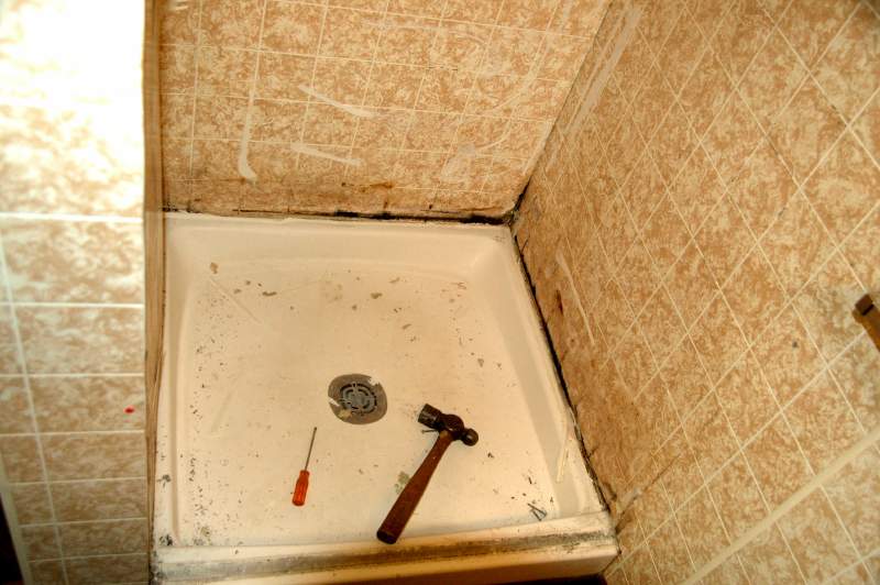 20080330SteamShower3459