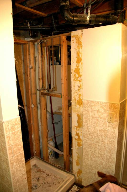 20080330SteamShower3468