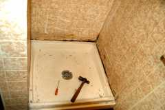 20080330SteamShower3459